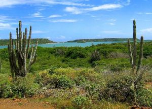 Sint Jorisbaai bij Santa Catharina